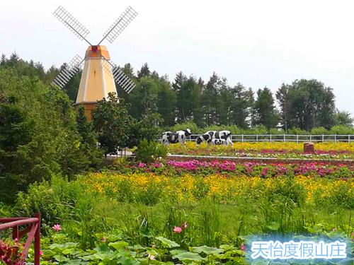 1515389895279584.jpg 微信圖片_20170905154857_副本.jpg