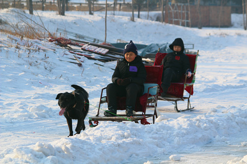 1515399524616755.jpg IMG_7282.JPG