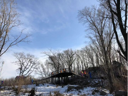 1551341942717732.png image.png